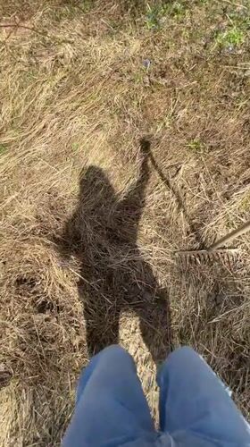 Person rakes dried grass in Malakhovka yard work session