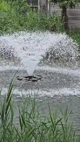 A fountain sprays water upwards and outwards in a body of water surrounded by tall green reeds and vegetation. In the background, there is a wooden fence and a palm tree. The water is cloudy and appears to be a pond or lake.