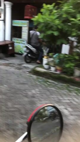 This is a blurry, handheld video shot from a motorcycle's perspective, likely in Kalisampurno, Indonesia. The foreground is dominated by the red and black motorcycle mirror, reflecting a street scene. The main subject is a person riding a white motorcycle in the middle ground, moving away from the camera. This rider is wearing a gray t-shirt and dark pants.

The scene appears to be a street or alleyway, with a concrete surface and some greenery. To the left, there's a white pillar and a wooden bench or table. Behind the rider, there's a stall or shop with some signage, though the text is illegible due to the blur. A red birdcage is visible hanging above the stall. Lush green foliage from trees overhangs the area, suggesting a tropical or subtropical environment.

The lighting suggests it might be daytime, possibly late afternoon, as there are shadows, but the overall brightness is moderate. The weather seems fair, as there's no indication of rain. The mood is casual and everyday, capturing a slice of life in an Indonesian town. The blurriness, likely due to movement, gives the footage a dynamic and immediate feel.