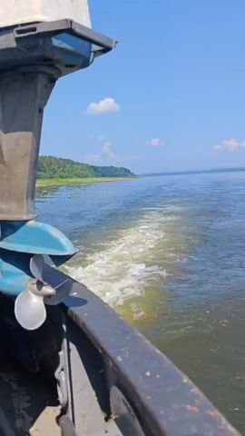 A boat is moving through the water, leaving a white wake behind it. The camera is positioned on the boat, looking out over the water. In the foreground, the back of a blue outboard motor is visible. The water is calm and blue, and the sky is clear with a few white clouds. Along the horizon, there is a line of green trees.