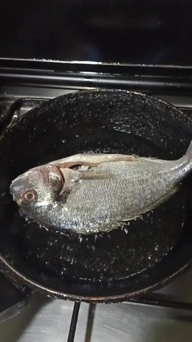 A single, intact fish lies in a dark, heavily used frying pan on a gas stovetop. The fish, silver-gray in color, is completely immersed in oil, which is actively bubbling. The stovetop and pan are visibly worn and show signs of use.  Steam rises slightly from the hot oil.