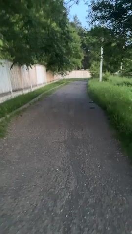 The video shows a dirt road with a fence on the left and trees and grass on the right. The road curves to the right and disappears into the distance. The lighting suggests it is either early morning or late evening. There is no visible person or animal in the video.