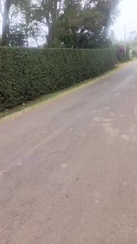 The camera moves along a paved road next to a long, thick, green hedge.  Trees are visible behind the hedge.  The sky appears overcast. A power pole and a dirt road are visible to the left of the hedge.  There is some litter along the edge of the road.