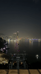 Nighttime cable car views capture Busan skyline and sculptures