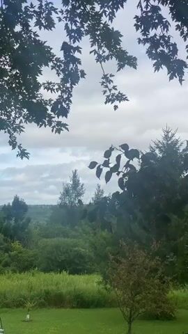 The video is a landscape view of a wooded area and a cloudy sky. The foreground is dominated by tree branches with green leaves. In the middle ground, there are more trees and vegetation, with a small tree visible in the lower right corner. The background consists of rolling hills covered in trees, and a sky filled with white, fluffy clouds. The lighting suggests it is daytime, possibly overcast or late afternoon. There are no people or animals visible in the video. The scene appears to be in a natural, rural setting. The camera is stationary and the view is static.
