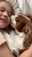 Girl and spaniel share quiet moments in Budva home