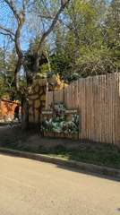 Woman documents afternoon leisure visit to Tbilisi park attraction