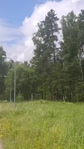 This media file appears to be a short video clip, possibly from a dashcam, showing a scenic view on a bright, sunny day. The scene is dominated by a large field of tall, green grass, with various wildflowers scattered throughout, suggesting a natural, possibly rural or park-like setting. In the background, a dense forest of trees, primarily coniferous with some deciduous trees mixed in, forms a lush green backdrop against a bright blue sky with fluffy white clouds.

Several lampposts are visible along what appears to be a path or road on the left side of the frame. The path itself is visible in the lower left corner, paved with a light-colored material. The overall atmosphere conveyed is one of peace and natural beauty. The bright sunlight and clear sky indicate it is daytime, likely late morning or early afternoon. There are no people visible in the frame.

The location context provided is "Олимп-1 Кп, Russia," which helps to place the scene geographically. The "Кп" likely refers to a "городское поселение" (urban settlement) or similar administrative division. The presence of lampposts suggests the area might be a park, a recreational area, or a roadside with lighting. The dominant activity is simply the passage through this area, as suggested by the slight movement and perspective shift characteristic of a moving camera. No text is visible within the video frames themselves.