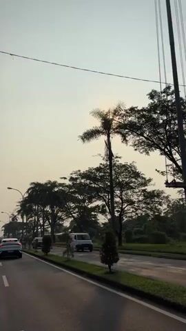 The video shows a road with cars driving on it. Palm trees and other trees line the road, and the sun is visible in the sky. The sky is hazy and the sun appears diffused.