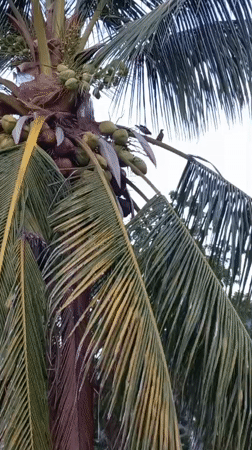 Ko Pha-ngan District, Thailand