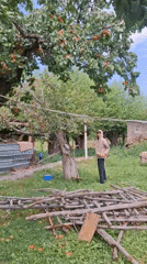 A quiet summer morning at a Kyrgyz homestead in Jeti-Ögüz