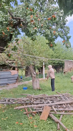 A quiet summer morning at a Kyrgyz homestead in Jeti-Ögüz