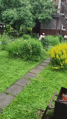 The video shows a backyard scene on a cloudy day. A stone pathway leads through a lush green lawn dotted with clover. To the left, large leafy green bushes and a tree provide shade. To the right, a large bush of yellow flowers stands out. In the foreground, a black metal barbecue grill is filled with burning logs and flames. A wooden structure, possibly a house or shed, is visible in the background. The scene evokes a feeling of a quiet, domestic setting preparing for outdoor cooking.