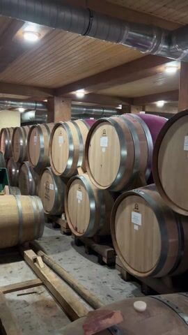 The video shows the interior of a wine cellar. Numerous wooden barrels are stacked and stored in rows. The barrels are new and have silver metal hoops around them. Each barrel has a label on it. The cellar has a wooden ceiling with exposed light fixtures and ductwork. There are wooden beams supporting the ceiling. The floor is concrete. A person is briefly seen walking past the barrels. The overall lighting is dim.