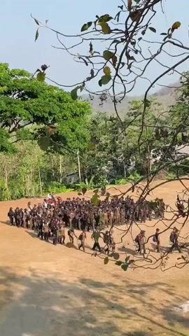 A large group of people, predominantly young males wearing similar brown and dark colored uniforms, are assembled in a formation on a dirt field. They appear to be standing at attention or in a dispersed group, possibly for a briefing or activity. The background features lush green trees and foliage, with a hill or mountain in the distance. The sky is clear and bright, suggesting daytime. Some individuals are walking or moving within the periphery of the group. The scene is viewed from an elevated perspective, with the branches of a tree obscuring a portion of the foreground.