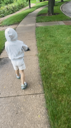 Afternoon stroll through a Schaumburg park and residential area