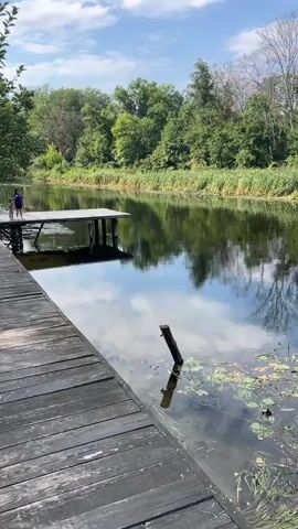 A wooden dock extends into a calm river on a sunny day. Trees and reeds line the opposite bank, their reflections shimmering on the water's surface. Lily pads and aquatic plants dot the water near the dock. A person stands on the far end of the dock, facing away from the camera.
