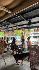 Early morning cafe scene captured in General Luna