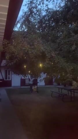 A vertical, low-light video shows a backyard scene at dusk. The camera pans slowly across a grassy area with a picnic table and benches. In the background, there are several buildings with white siding and brown trim, possibly cabins or motel rooms. String lights are visible draped across a tree and its branches, casting a warm glow. A grill is situated on the lawn near the buildings. The sky is overcast and appears to be transitioning from daylight to night.