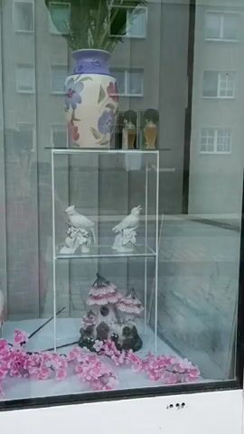 The video pans across a shop window display featuring various decorative items. The display is organized on tiered shelves. On the top shelf of one display unit, there is a vase with flowers, and two small containers. Below that, two white bird figurines are placed on a shelf. On the lowest shelf, there is a decorative, mushroom-shaped object. In front of the display, artificial pink flowers are arranged. Further down the window, there is a framed picture and a floral arrangement on a glass shelf, with small figurines. There are also some small trees in front of the window. The window reflects the exterior of a building with multiple windows.