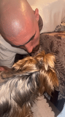 Burgas resident's evening routine: car wash and dog walk