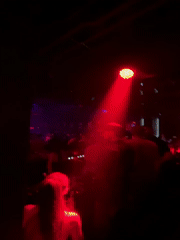 Nightclub scene documented by witnesses in Nesebar, Bulgaria