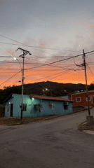 Vibrant sunset scene with palm trees and colorful houses witnessed