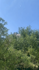 Summer morning among the trees in Kaniv, Ukraine