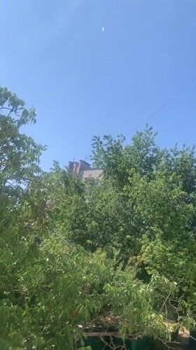 Summer morning among the trees in Kaniv, Ukraine