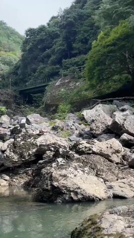 A bird stands on a large rock by a river, looking to the right. The river is calm and reflects the light. The background is a lush green forest with a waterfall cascading down rocks, creating mist that catches the sunlight.
