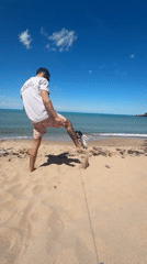 Dog walker spotted on Tsarevo beach wearing anti-social media shirt