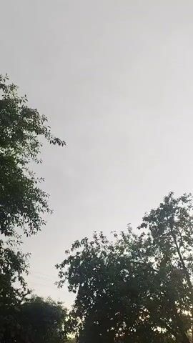 This media file shows a time-lapse video of trees against a bright, overcast sky. The time of day appears to be late afternoon or early evening, with the sun setting behind the trees on the right side of the frame, creating a soft glow. The weather is cloudy, but there are no visible signs of rain or strong winds. The leaves on the trees are green and appear to be full, suggesting it is summer or early autumn. The location is identified as Sinkoŭski sel'ski saveŭ, Belarus. There are no people or objects visible in the frame, other than the trees and the sky. The overall mood is peaceful and serene, with the gentle movement of the leaves creating a calming effect. There is no visible text in the media file.