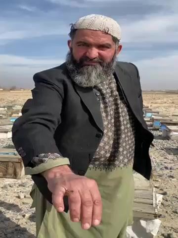 Here's a description of the video:

The video shows a man standing in what appears to be a cemetery or an area with many grave markers. He is wearing a light-colored cap, a black blazer over a patterned shirt and a light green traditional garment. He has a long gray beard.

The man holds his hand out towards the camera. A bee is on the back of his hand, near his knuckles. He appears calm as he shows the bee. The background consists of a dry, dusty landscape with many rectangular grave markers. The sky is light blue with some clouds.