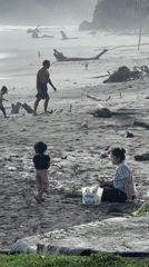 Families enjoy morning beach activities with kites and dogs