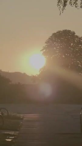 The media file captures a serene outdoor scene during sunrise. The sun, a bright, luminous orb, is the dominant subject, positioned in the upper left quadrant of the frame and partially obscured by the silhouette of a large tree. Rays of sunlight pierce through the foliage and the hazy atmosphere, creating a soft, diffused light that bathes the entire scene.

The setting appears to be a natural landscape, likely a rural or semi-rural area, with rolling hills visible in the background, also rendered in silhouette against the bright sky. The foreground features a pathway or road, with the wheels of a bicycle visible on the left side, suggesting a moment of pause or preparation for activity. A car is partially visible on the right side, hinting at human presence or recent passage.

The time of day is clearly dawn, indicated by the low angle of the sun and the warm, golden hue of the sky. The weather seems calm and perhaps a little misty or hazy, contributing to the soft lighting and the gentle blending of colors. The overall mood evoked is one of tranquility, peace, and the quiet beauty of the early morning. There is a sense of stillness and anticipation as the day begins.

No text is visible within the media file. The location context provided is Roßleben, Germany, which aligns with the picturesque, potentially European, landscape depicted.