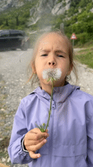 Girl blows dandelion seeds in Montenegro village scene