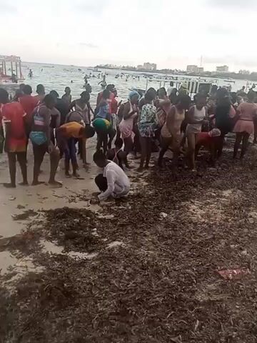 A crowd of young people of African descent are congregated on a sandy beach near the water's edge. Many of them are picking up seaweed or other debris from the sand. They are dressed in swimwear and casual clothing. There is a significant amount of seaweed and debris on the beach, and people can be seen swimming in the background.