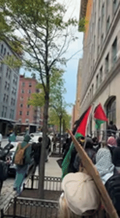 Large demonstration marches through historic New York street