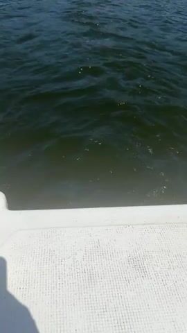 This is a first-person perspective video taken from a boat. The camera is pointed towards the water and the distant shore. The water is choppy and a dark green color. In the foreground, the edge of the white boat is visible, with a textured surface. As the video progresses, the boat moves forward, and the shore comes into clearer view. The shore is lined with trees and buildings, including a long, colorful building with arched windows. The sky is clear and blue. The video appears to capture a moment of leisure travel on a body of water.