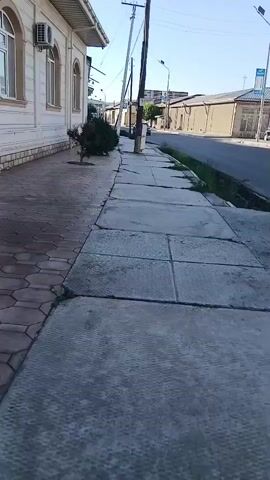 The video shows a sidewalk next to a street. A white building with a light-colored roof is on the left side of the screen. There are trees and bushes in front of the building. The sidewalk is made of concrete slabs and pavers. A utility pole is located on the sidewalk. The street is paved and has a drainage ditch on the right side. A dark-colored car is driving on the street in the distance. The sky is clear and blue.