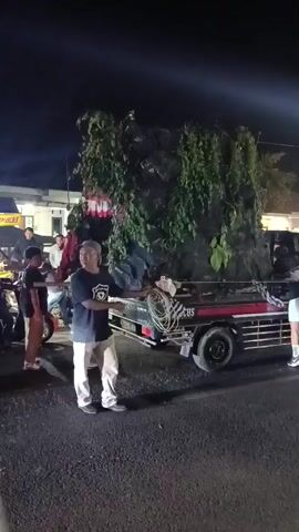 A nighttime scene depicts a truck with a large, artificial rock-like structure adorned with greenery and hanging red lanterns. A man in a black t-shirt and white pants stands in front of the truck, gesturing. Several people are visible around the truck, some on motorcycles. A white car with flashing blue lights is in the foreground. The truck has the word "MALUCUS" visible on its side.