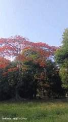 Evening gathering at Parque Francisco de Miranda, Caracas
