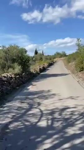 The video shows a straight, narrow asphalt road running through a rural landscape under a partly cloudy sky. The road is bordered on both sides by low stone walls and sparse vegetation, including shrubs and trees. Tree shadows dapple the road's surface. In the distance, taller trees and utility poles can be seen. The perspective suggests the video was taken from a moving vehicle.