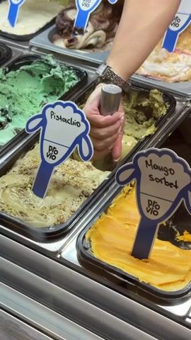 A person scoops pistachio gelato with a metal ice cream scoop from a display case. The display case has other flavors including mango sorbet, mint, chocolate, and cake batter. The flavors are labeled with sheep-shaped tags that say "Pro Vio." The person wears a wristwatch.
