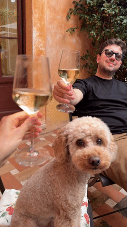 Wine toast in Fiumicino, poodle front and center