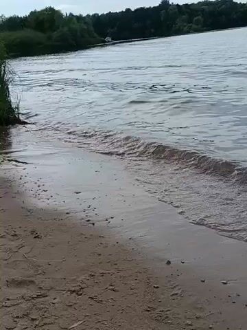 The video shows a sandy shore meeting a body of water. Small waves gently lap against the sand, creating a foamy line where the water meets the land. The water appears somewhat murky, and the sky above is overcast, casting a muted light on the scene. In the distance, across the water, a treeline is visible, suggesting a natural landscape. There are no people or man-made structures immediately apparent in the foreground. The video captures a peaceful, natural setting by the water's edge.