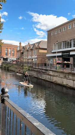Paddleboarding on a Chelmsford city canal on a summer afternoon