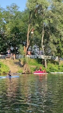 A person jumps from a tree into a body of water. The jumper is in mid-air, arms extended. Below, a pink paddleboat with several people on it is partially submerged, creating a splash. Other individuals are visible on paddleboards in the water. The background features a grassy bank with trees and a fence.