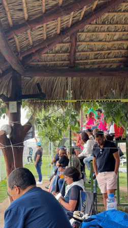 Iguana sits on honking car horns in Mexico