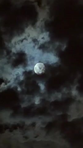 The video shows a full moon partially obscured by moving clouds in the night sky. The clouds are dark and wispy, with lighter edges where they catch the moonlight. The moon itself is bright and appears textured, with visible craters and markings. The overall impression is one of a dynamic and somewhat eerie night sky. There are no people or other objects visible in the frame.